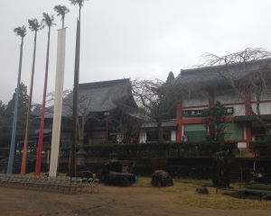 2015-11-08-tuika